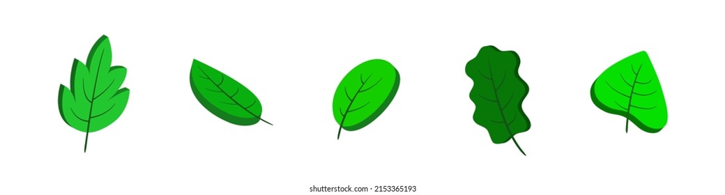 3d leaves. Isometric green leaves. Set isolated on white background. Vector clipart.