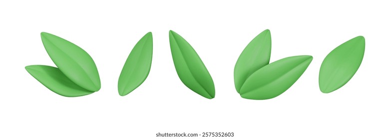 3d leaves set. Cartoon nature elements in plastic style. Summer leaf. Vector illustration.