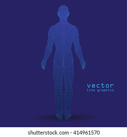 3d man. line graphics. dark blue background vector