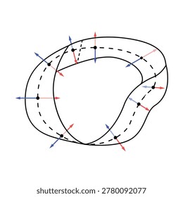 A 3D mathematical illustration of a Möbius strip demonstrating the property of non-orientability. A dashed black line tracks the center path around the loop, while red and blue arrows representing normal vectors show the surface orientation. The vectors begin pointing in opposite directions and flip as they traverse the single-sided surface, providing a clear visual proof of topological one-sidedness. This high-quality graphic is ideal for geometry, physics, and topology textbooks.