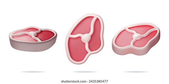 3D Fleisch Steak aus verschiedenen Winkeln Kollektion isoliert. Render Set von Rindfleisch Tenderloin. In: Pork Knuckle. Stück Steak, frisches rohes Fleisch. Ungekochtes Schweinekotelett, Rind- oder Lammfleisch zum Grillen. Vektorgrafik