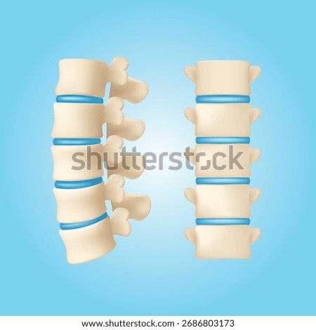 3D medical vector illustration showing human spine anatomy in front and side view. Perfect for healthcare education, orthopedic infographics, and supplement advertisements.