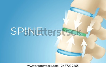 3D medical vector illustration showing spine cushioning and shock absorption with arrows highlighting disc pressure and support. Ideal for supplement, orthopedic, and wellness visuals.