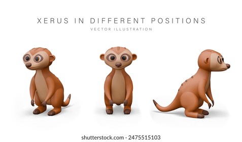 3D meerkat, view from different sides. Small rodent, xerus standing