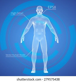 3D Mesh Human Body Medical Scan On A Blue Background, High Detail