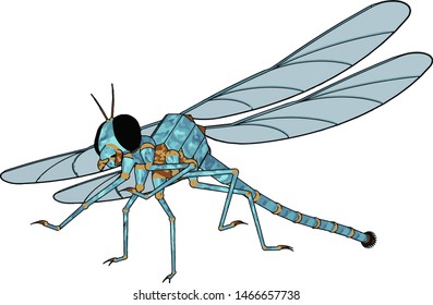 3D model of dragonfly, illustration, vector on white background.