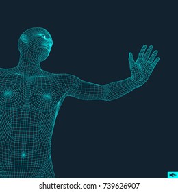 3D Model of Man. Human Body Wire Model. Design Element. Technology Vector Illustration. 