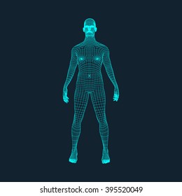 3D Model Of Man. Polygonal Design. Geometric Design. Business, Science And Technology Vector Illustration. 3d Polygonal Covering Skin. Human Polygon Body. Human Body Wire Model.