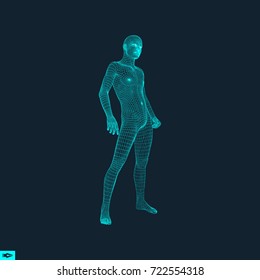 3d model of man. Polygonal design. Geometric design. Business, science and technology vector illustration. 3d polygonal covering skin. Human polygon body. Human body wire model.