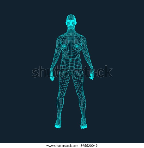 人間の3dモデル ポリゴンデザイン 幾何学的設計 ビジネス 科学 テクノロジーのベクター画像イラスト 3d ポリゴンカバースキン 人間のポリゴンボディ 人体ワイヤモデル のベクター画像素材 ロイヤリティフリー
