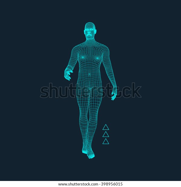 人間の3dモデル ポリゴンデザイン 幾何学的設計 ビジネス 科学 テクノロジーのベクター画像イラスト 3dポリゴンカバースキン 人間のポリゴンボディ 人体ワイヤモデル のベクター画像素材 ロイヤリティフリー