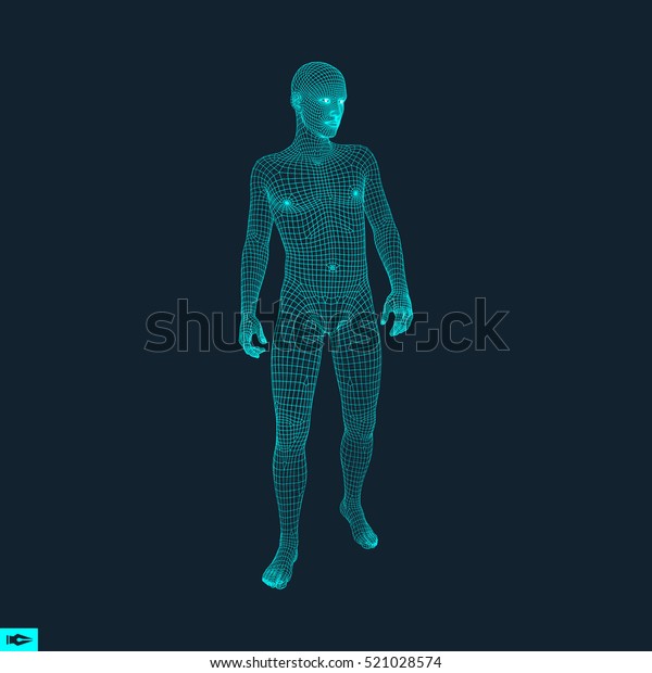人間の3dモデル ポリゴンデザイン 幾何学的設計 ビジネス 科学 テクノロジーのベクター画像イラスト 3dポリゴンカバースキン 人間のポリゴンボディ 人体ワイヤモデル のベクター画像素材 ロイヤリティフリー