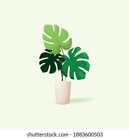 3D Monstera Plant Vector Illustration Design