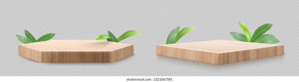 3d nature wood podium and leaf for product display isolated on transparent background. Minimal wooden cosmetic hexagon and square stand with herbal plant. Premium beauty showcase vector mockup