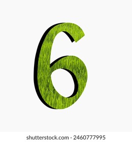3D number 6 with grass texture isolated on a white background