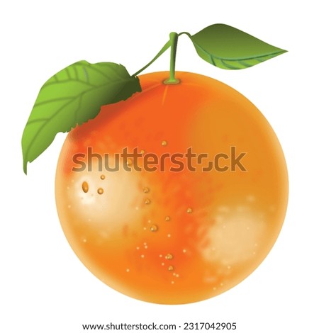 3D Orange Fruit With Leaf