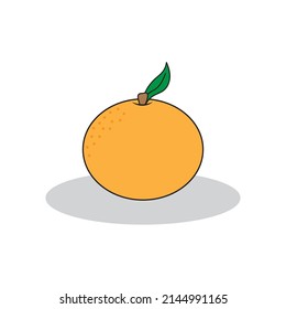 3d orange fruit. Realistic orange fruit. Plant leaf sign. Vector illustration. stock image. 