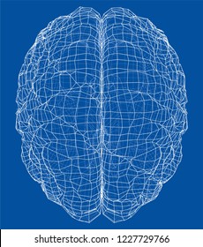 3D outline brain. Vector rendering of 3d. Wire-frame style. The layers of visible and invisible lines are separated