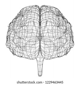 3D outline brain. Vector rendering of 3d. Wire-frame style. The layers of visible and invisible lines are separated