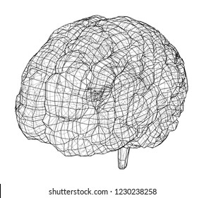 3D outline brain. Vector rendering of 3d. Wire-frame style. The layers of visible and invisible lines are separated