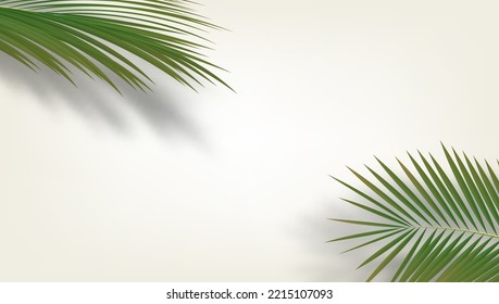 3D Palm Branches With Shadows In The Corners Of Background. EPS10 Vector