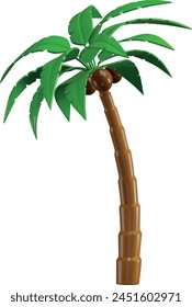 3d palm tree. isolated palm tree 