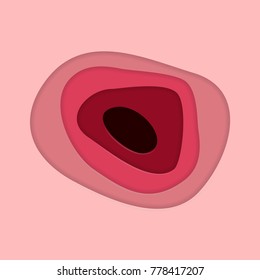 3D paper cut banner. Paper style Vector background illustrator
