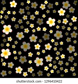 3D pattern of white jasmine flower with yellow centre on black background. Vector illustration.