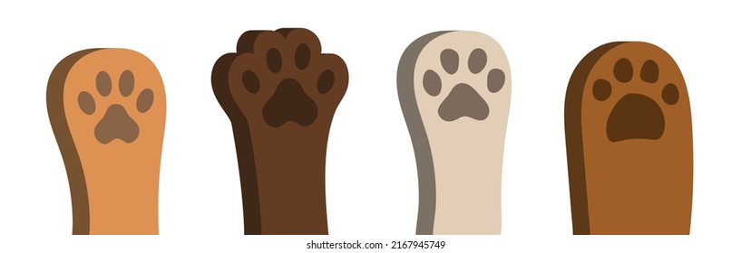 3d paws of a cat or dog. Paws set. Cute animal paws. Vector clipart isolated on white background.	
