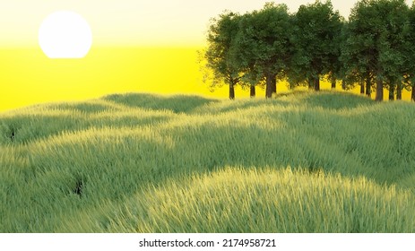 3d picture of a vast grassland background with big trees at sunrise and sunset.
