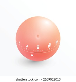 3D pregnancy timer in the form of a belly with fetus, baby, stroller and bicycle icons. Vector female navel on a pink sphere like tummy. Expectation of childbirth, labor. Parenthood.