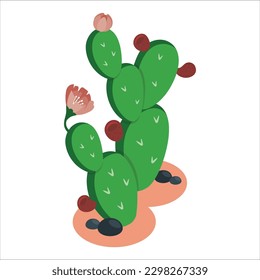 3d prickly pears cactus fruit with flowers. green Santa Rita Prickly Pear Cactus with red Flowers. Prickly pear cactus (Opuntia, ficus-indica, Indian fig opuntia) with fruits