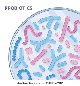 3d Probiotic bacteria set in petri dish. Gut microbiota with healthy prebiotic bacillus. Lactobacillus, acidophilus, bifidobacteria and other microorganisms. render vector illustration for banner.