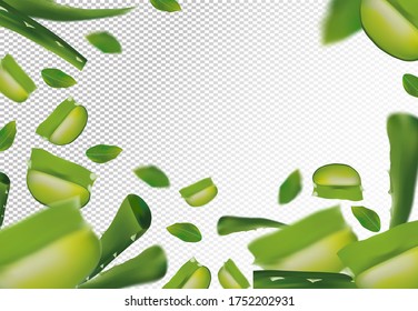 3D realistic aloe with green leaf. Freshly aloe vera in motion. Slice Aloe. Herbal medicine. Aloe vera a cactus close up. Vector illustration