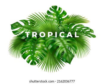 3D realistic background of green tropical leaves. Vector illustration of bushes and tree branches, vibrant paradise floral backdrop. Summer holiday decor, floral card, poster or banner design