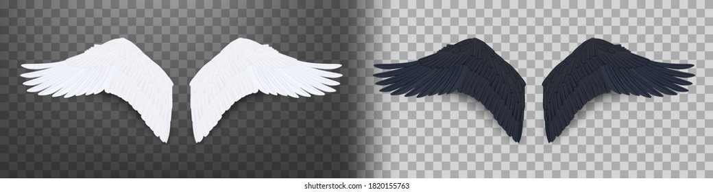 3D Realistic Black And White Angel Style Wings. On Transparent Background. EPS10 Vector