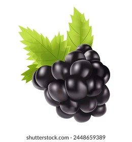 
3d Realistic Blackberry with Leaf Isolated. Sweet Berries Vector Illustration.
