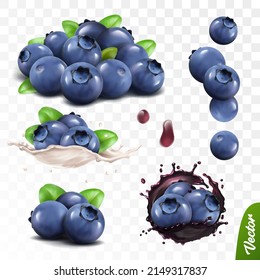 3D realistic blueberry set, lying heaps of berries with leaves, falling bilberries, splash of milk or yogurt, splash of juice with berries