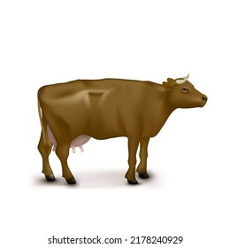 3D Realistic Brown Cow Right Side View Isolated On White Background. EPS10 Vector
