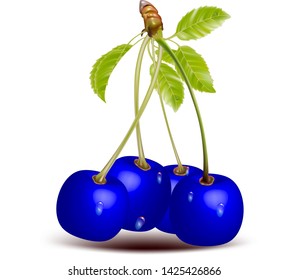 3d realistic cherries isolated on white background vector gradient mesh illustration