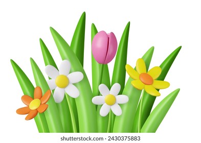 3d realistic daisies,tulip, grass and leaves. Happy Mother s Day, Valentine Day concept. Spring decoration. 3d rendering. Vector illustration