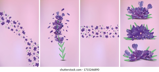 3D realistic flowers lavender with green leaf. Fragrant lavender on violet background. Beautiful lavender closeup. Violet lavender in motion.Top view. Vector illustration.