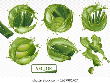 3D realistic fresh aloe vera on transparent background. Collection green aloe vera with splash liquid. Slice Aloe. Herbal medicine for skin care and hair. Aloe vera a cactus closeup. EPS 10.