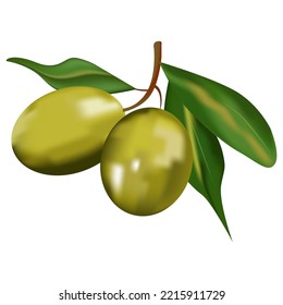 Ilustración del vector de frutas de oliva fresca realista 3D