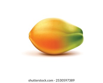 3d Realista fresco maduro Papaya fruta vetor ilustração.  Mamão de fruto isolado em fundo branco. Realista 3D fresco maduro papaya fruta ilustração | Vetor papaia isolado sobre fundo branco