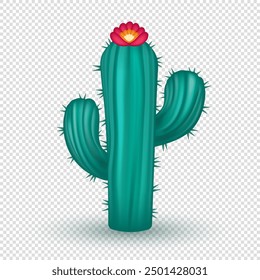 3d realistic green cactus with beautiful flower isolated on transparent background. Three dimensional plant belonging to the family Cactaceae clip art.  Cartoon mexican flora 