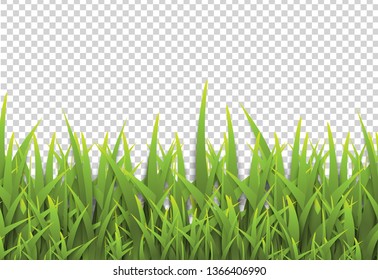3d realistic green grass border on transparent background.
