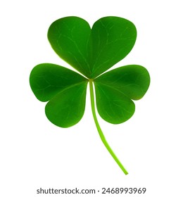 3d Realistic Green Shamrock Leaf Isolated on White Background, Symbol of Celebration, Irish Holiday, St. Patrick's Day. Vector Clover illustration