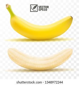 3d realistic isolated vector peeled and whole banana fruit