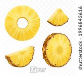 3d realistic isolated vector pineapple set, pineapple circle round pieces and pineapple slices and a half